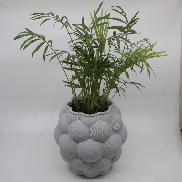 3DPPA Apo Mali Planter Decor for Dinner Table, Party, Living Room - Picture 3 of 6